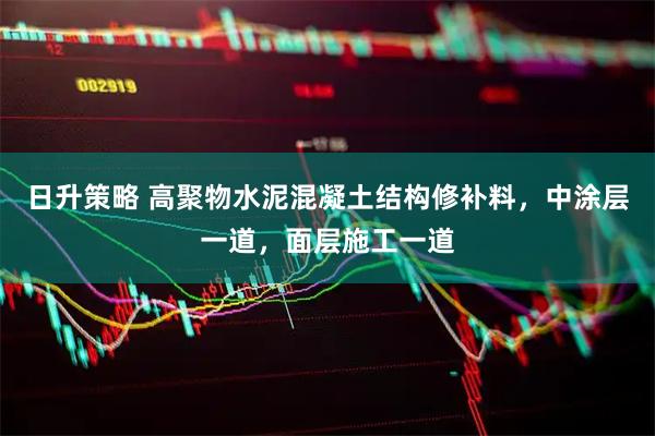 日升策略 高聚物水泥混凝土结构修补料，中涂层一道，面层施工一道