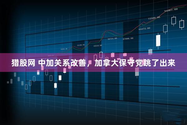 猎股网 中加关系改善，加拿大保守党跳了出来