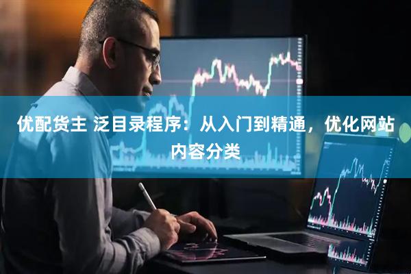 优配货主 泛目录程序：从入门到精通，优化网站内容分类