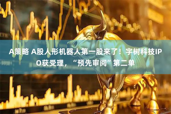 A策略 A股人形机器人第一股来了！宇树科技IPO获受理，“预先审阅”第二单