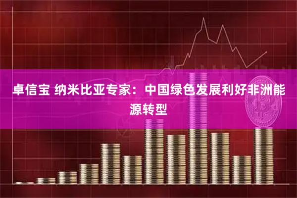 卓信宝 纳米比亚专家：中国绿色发展利好非洲能源转型