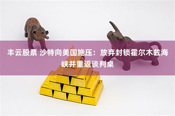 丰云股票 沙特向美国施压：放弃封锁霍尔木兹海峡并重返谈判桌