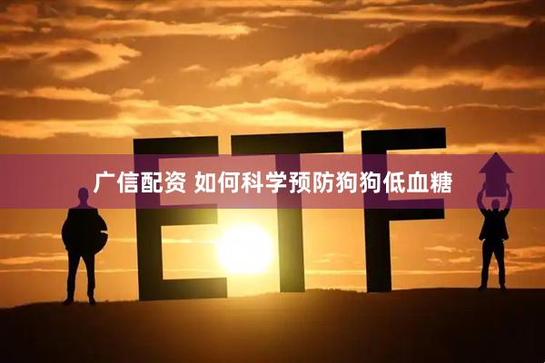 广信配资 如何科学预防狗狗低血糖