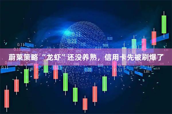 蔚莱策略 “龙虾”还没养熟，信用卡先被刷爆了