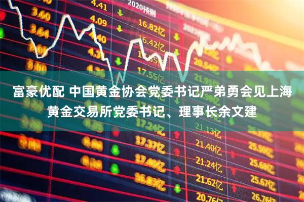 富豪优配 中国黄金协会党委书记严弟勇会见上海黄金交易所党委书记、理事长余文建