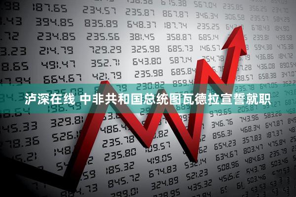 泸深在线 中非共和国总统图瓦德拉宣誓就职