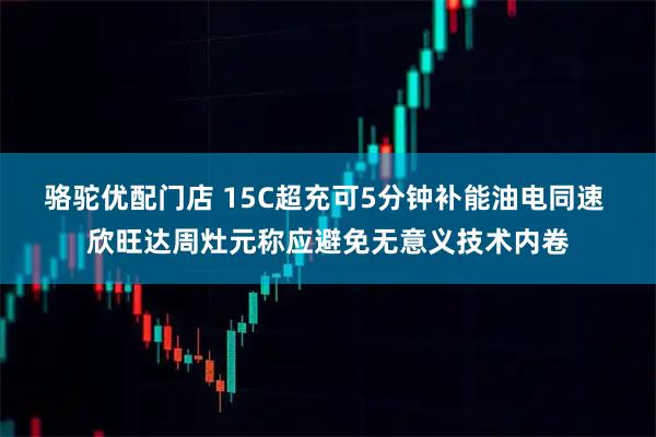 骆驼优配门店 15C超充可5分钟补能油电同速 欣旺达周灶元称应避免无意义技术内卷