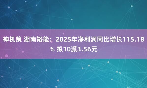 神机策 湖南裕能：2025年净利润同比增长115.18% 拟10派3.56元