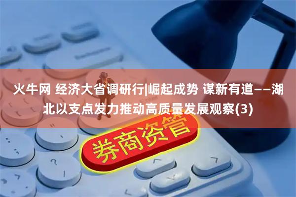 火牛网 经济大省调研行|崛起成势 谋新有道——湖北以支点发力推动高质量发展观察(3)