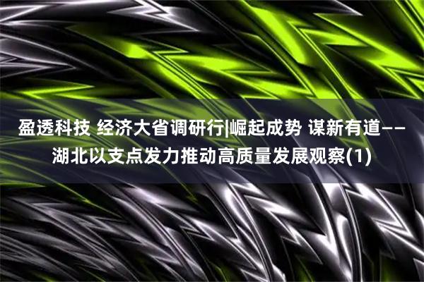 盈透科技 经济大省调研行|崛起成势 谋新有道——湖北以支点发力推动高质量发展观察(1)