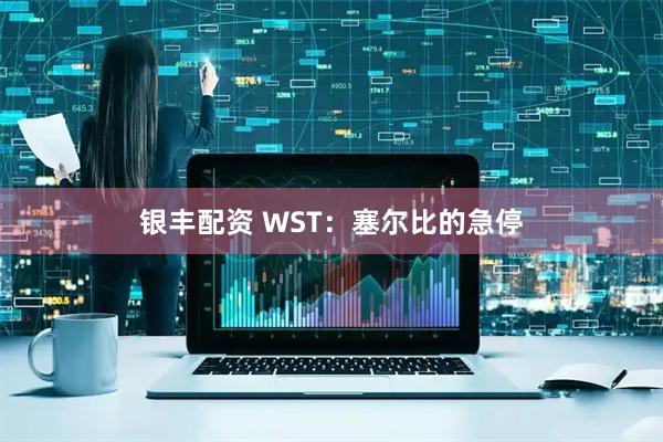 银丰配资 WST：塞尔比的急停