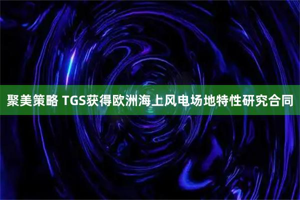 聚美策略 TGS获得欧洲海上风电场地特性研究合同