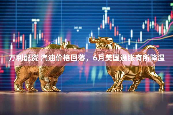 万利配资 汽油价格回落,6月美国通胀有所降温