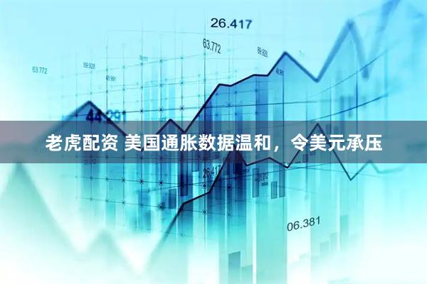 老虎配资 美国通胀数据温和，令美元承压