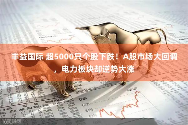 丰益国际 超5000只个股下跌！A股市场大回调，电力板块却逆势大涨